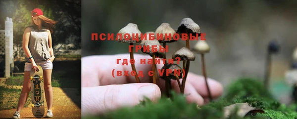 дживик Карпинск