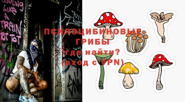 дживик Карпинск