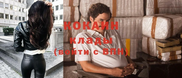 дживик Карпинск