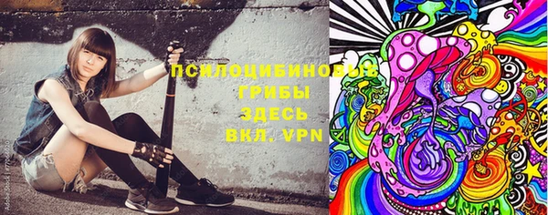 дживик Карпинск